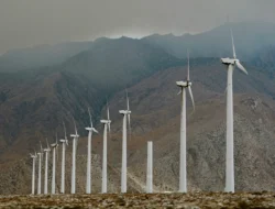 Mengoptimalkan Potensi Energi Angin di Pesisir Pantai untuk Pembangunan Berkelanjutan